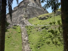 IMG_8873