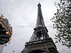 Paris-tower-and-Carousel-3