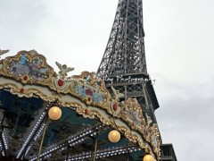 Paris-tower-carousel-vert-2