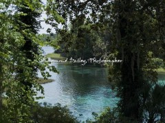 rainbowsprings-edited