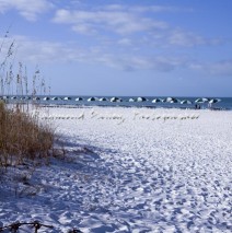 San Marco Beach