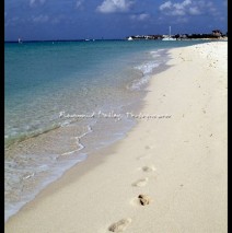 Playa Mia, Cozumel