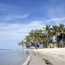 Smathers Beach, Key West