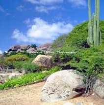 Aruba, Lesser Antilles