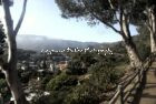 Avalon, Catalina