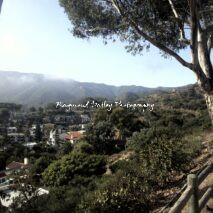 Avalon, Catalina