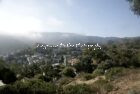 Avalon, Catalina Island