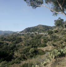 Catalina Island