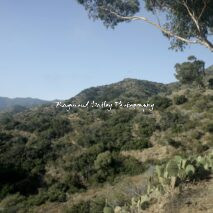 Catalina Island